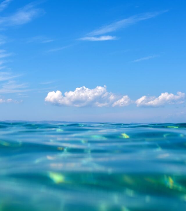 Featured Image